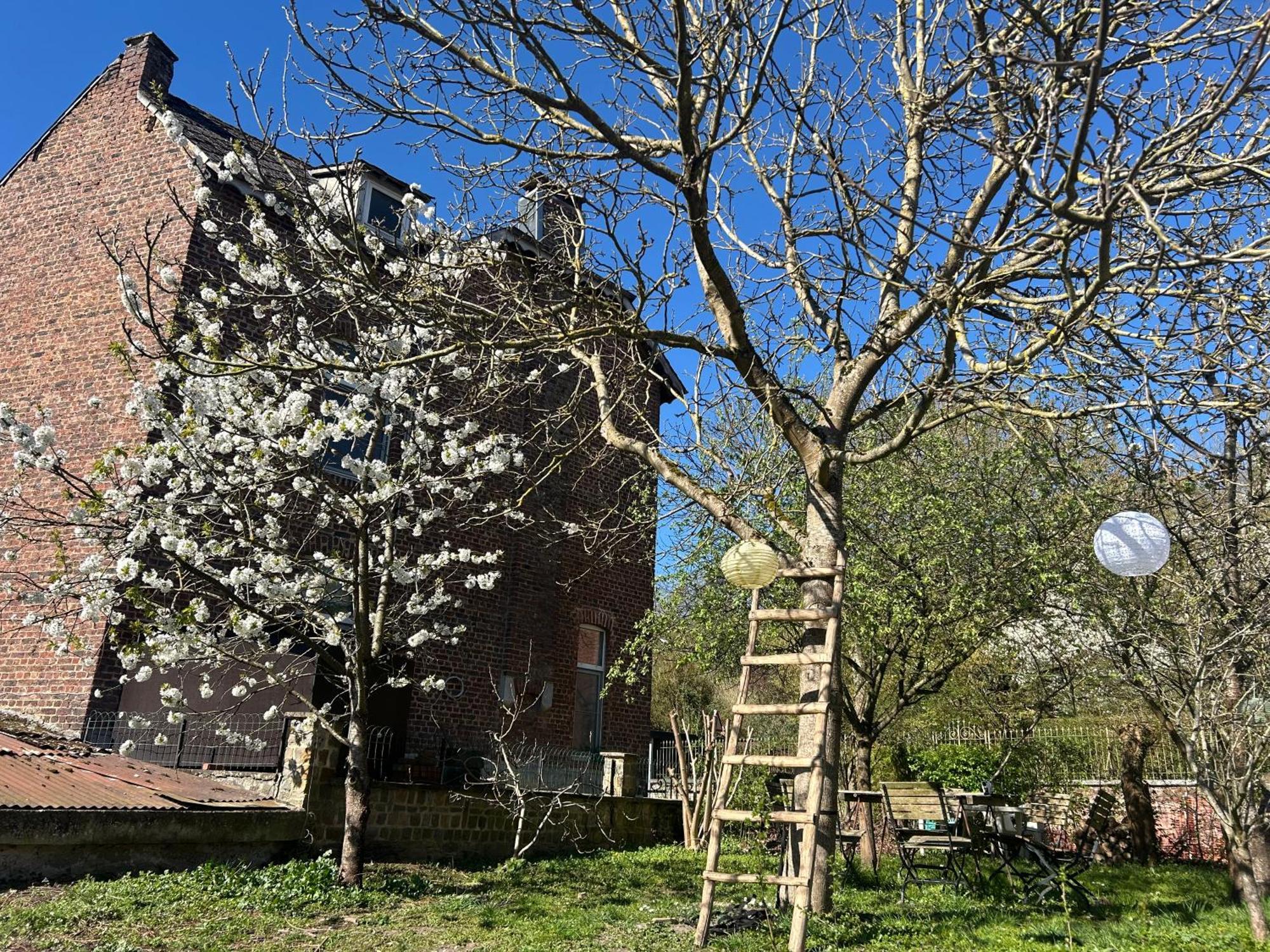 Apartamento 2Pas2Meuse Waulsort Exterior foto